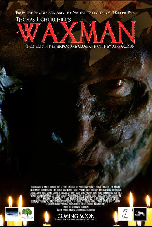 Movie poster for Waxman