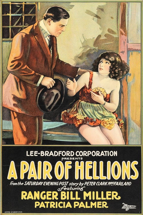 Movie poster for A Pair of Hellions (1924)