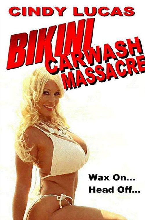 Movie poster for Bikini Car Wash Massacre (2017)