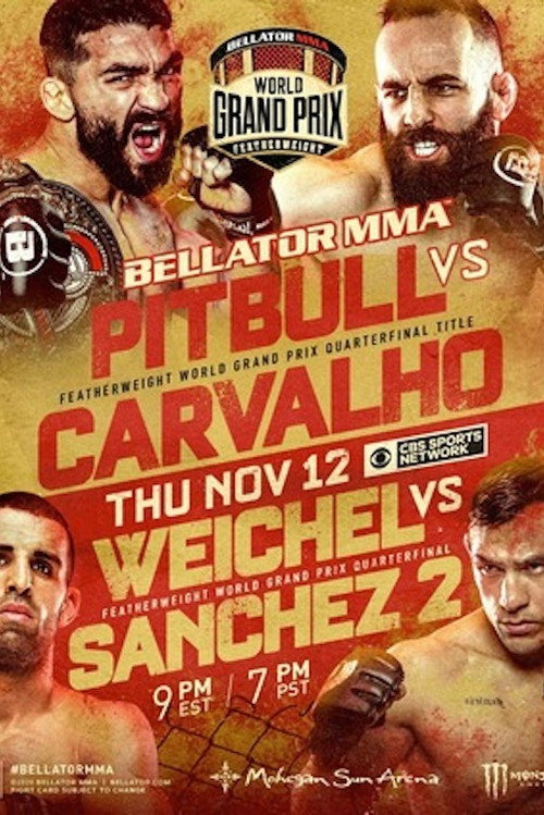 Movie poster for Bellator 252: Pitbull vs. Carvalho (2020)