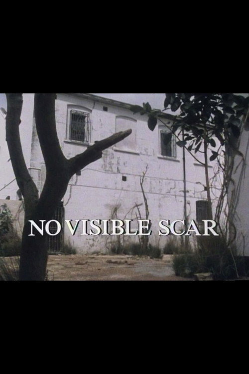 Movie poster for No Visible Scar (1981)