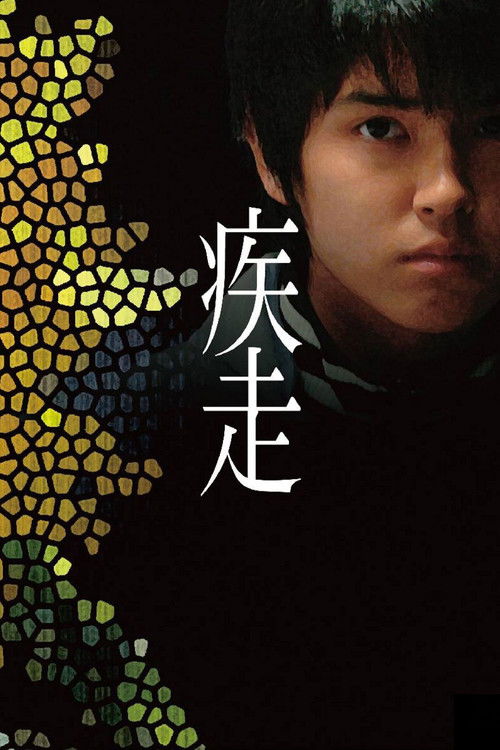 Movie poster for Dead Run (2005)