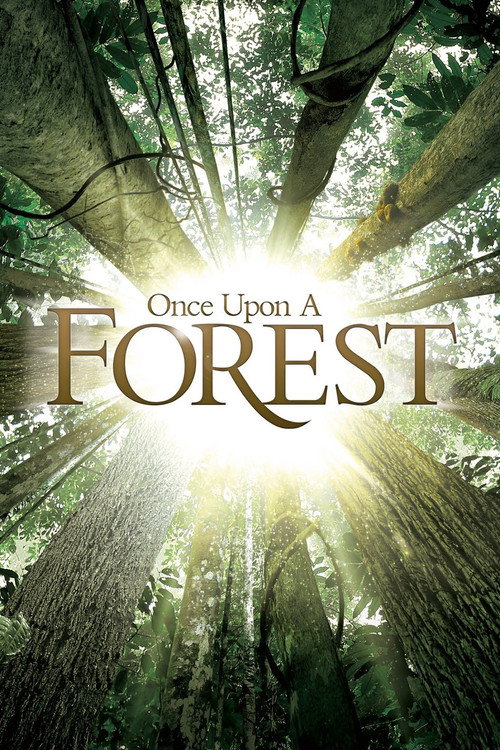 Movie poster for Once Upon a Forest (2013)