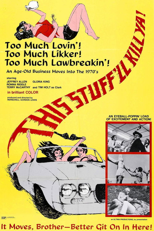 Movie poster for This Stuff'll Kill Ya! (1971)