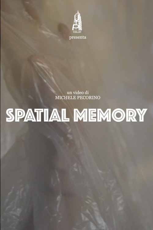 Movie poster for Spatial Memory (2022)