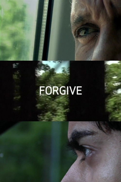Movie poster for Forgive (2008)