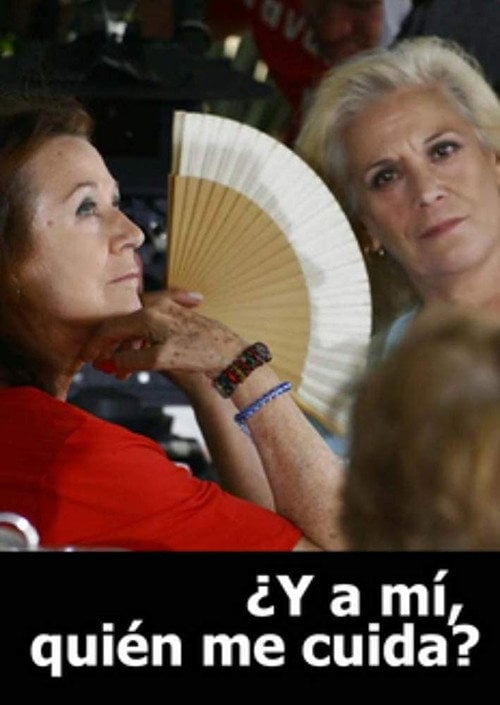 Movie poster for ¿Y a mí quién me cuida? (2007)