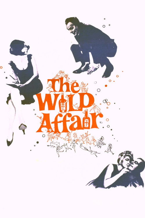 Movie poster for The Wild Affair (1965)