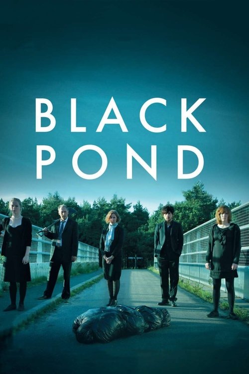 Movie poster for Black Pond (2011)