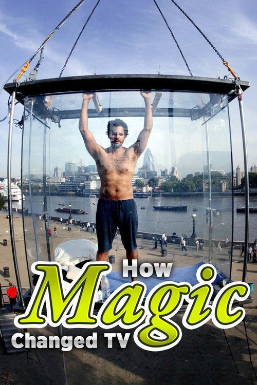 Movie poster for How Magic Changed TV (2017)