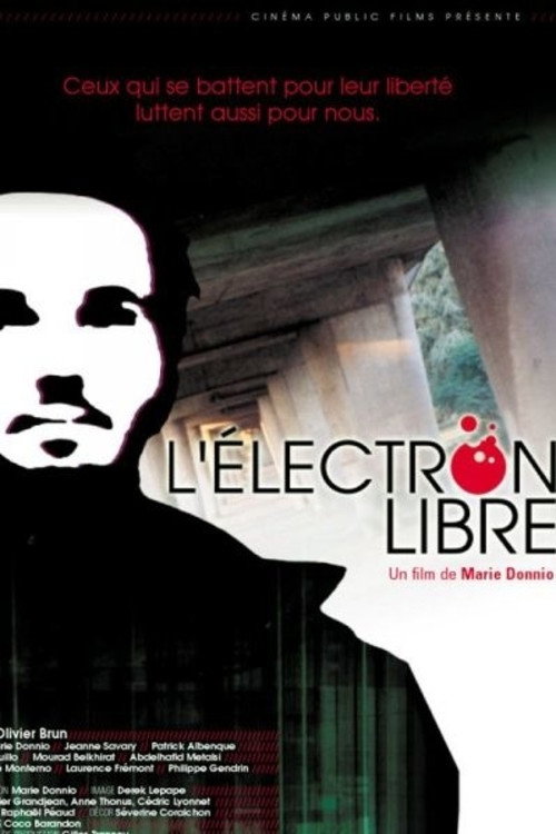 Movie poster for L'électron libre (2003)
