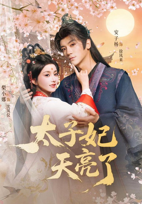 Series poster for 太子妃天亮了 (2026)