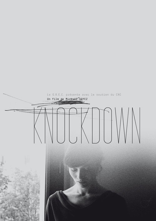 Movie poster for Knockdown (2016)