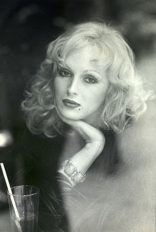 Candy Darling profile
