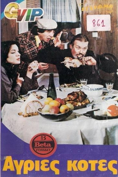 Movie poster for Wild Chickens (1981)