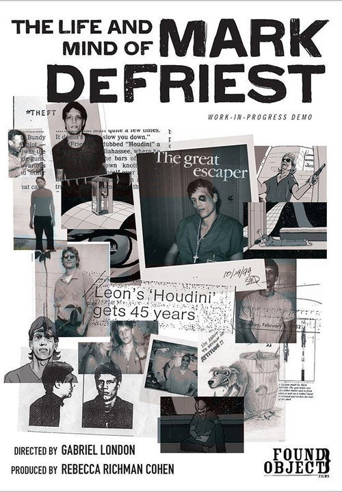 Movie poster for The Life and Mind of Mark DeFriest (2014)