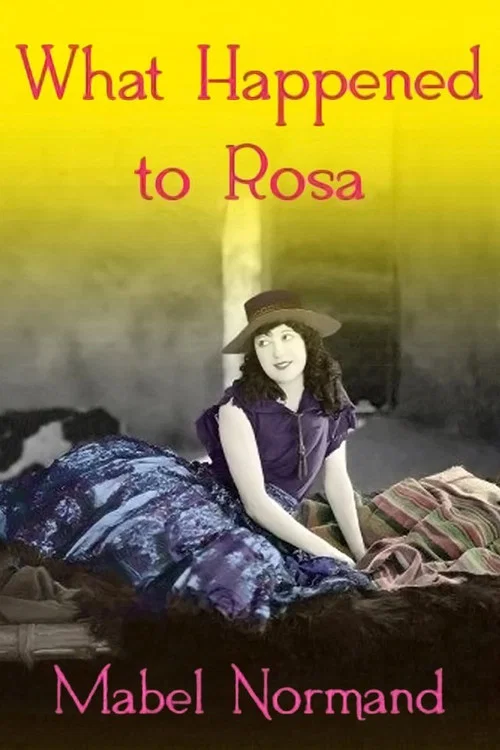 Movie poster for What Happened To Rosa (1920)