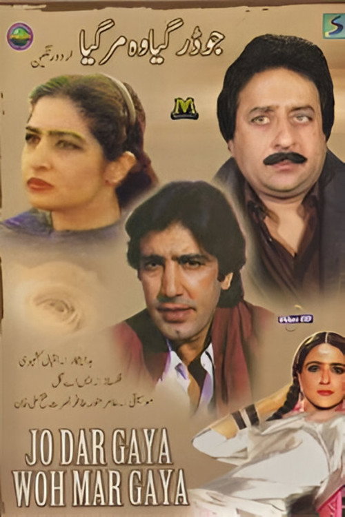 Movie poster for Jo Darr Gaya Woh Marr Gaya (1995)