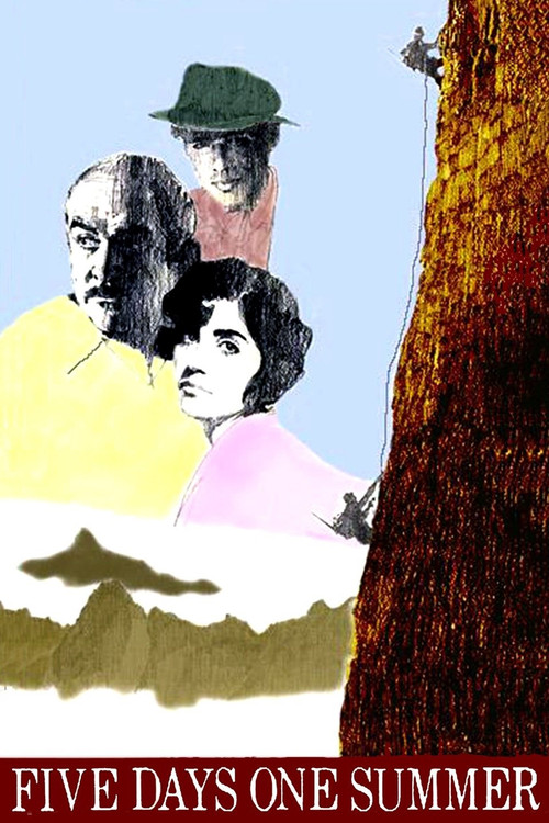 Movie poster for Five Days One Summer (1982)