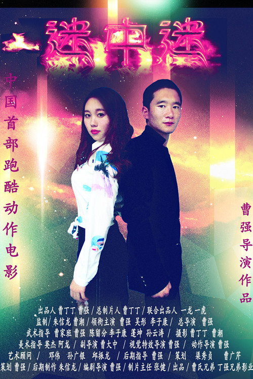 Movie poster for 迷中迷 (2024)