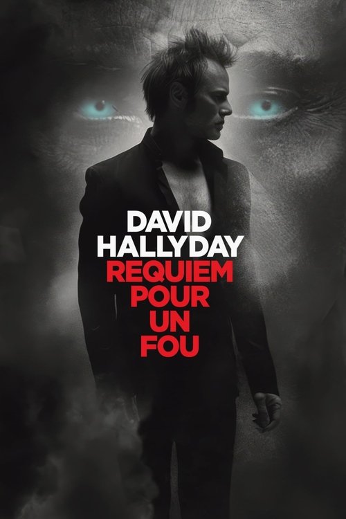 Movie poster for David Hallyday, requiem pour un fou (2025)