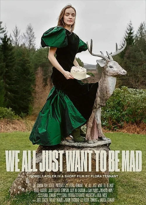 Movie poster for We All Just Want to Be Mad (2020)