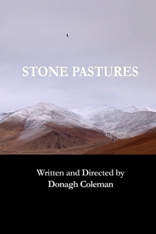 Movie poster for Stone pastures (2010)