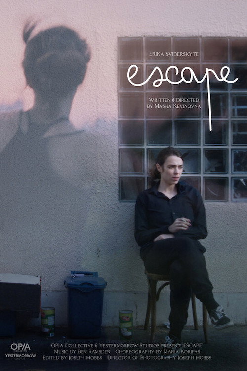 Movie poster for Escape (2024)