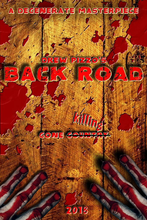 Movie poster for Back Road (2020)