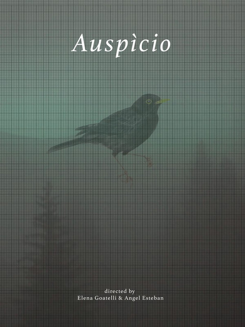Movie poster for Auspicio (2019)