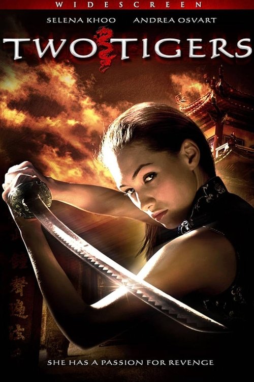 Movie poster for Two Tigers (2007)