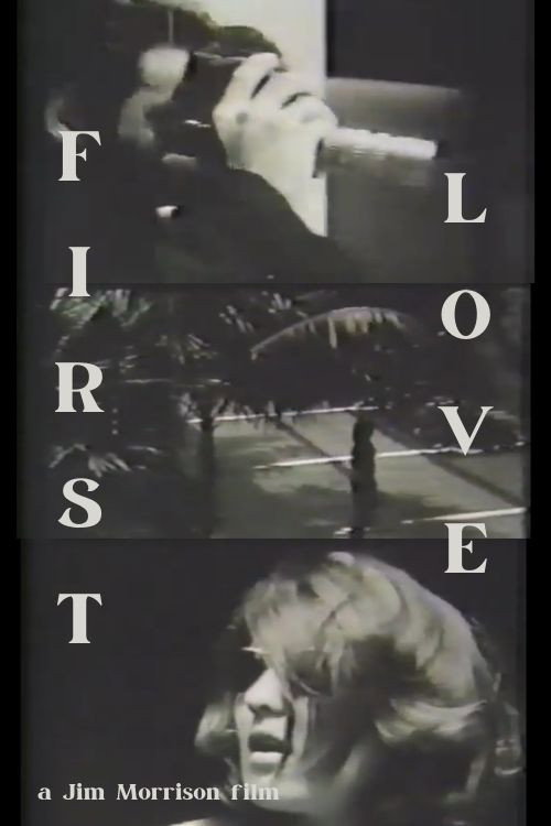 Movie poster for First Love (1964)