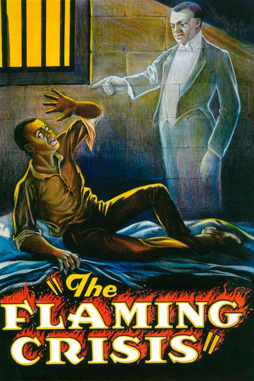 Movie poster for The Flaming Crisis (1924)