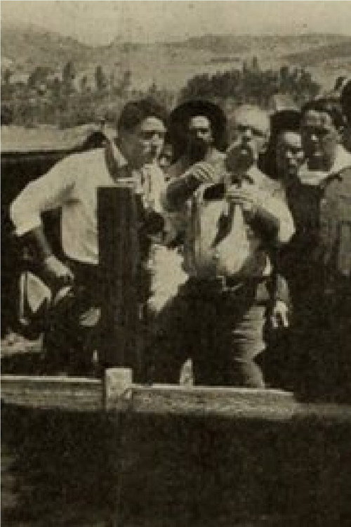 Movie poster for The Poisoned Flume (1911)