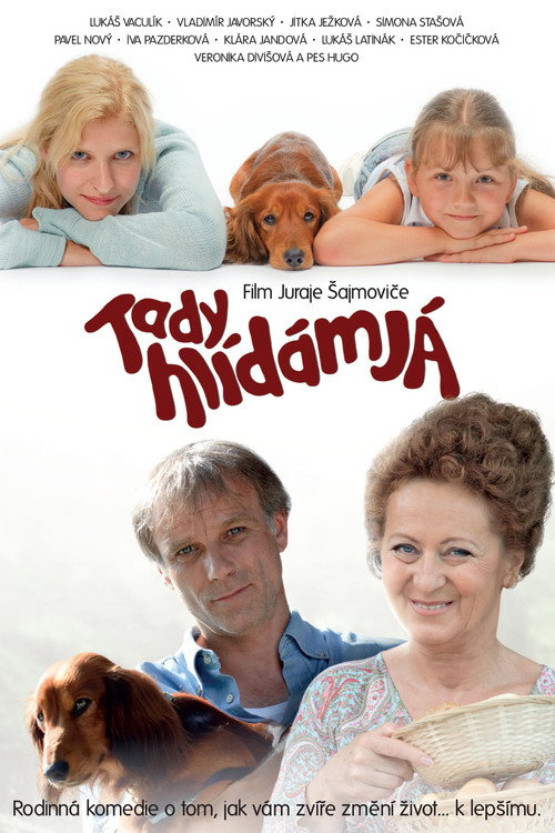 Movie poster for Tady hlídám já (2012)