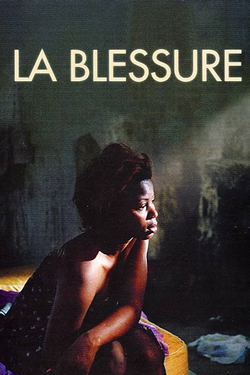 Movie poster for The Wound (2005)