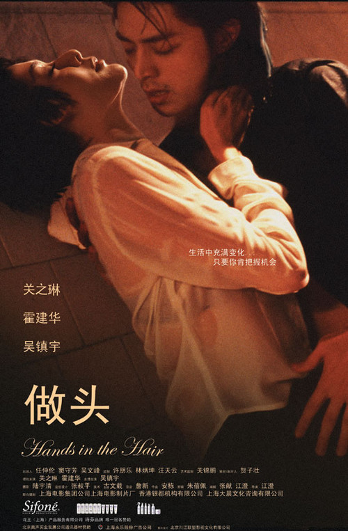 Movie poster for Hands in the Hair (2005)
