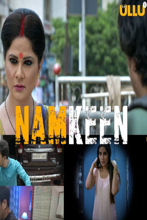 Namkeen poster
