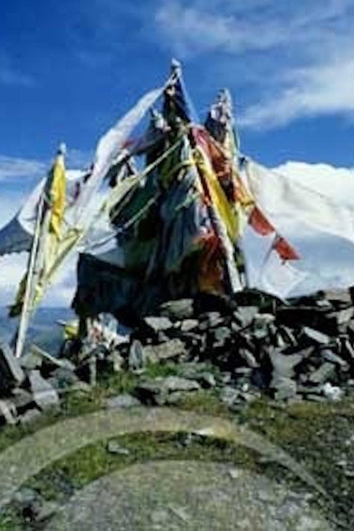 Movie poster for The Sacred Site for Asceticism (1993)