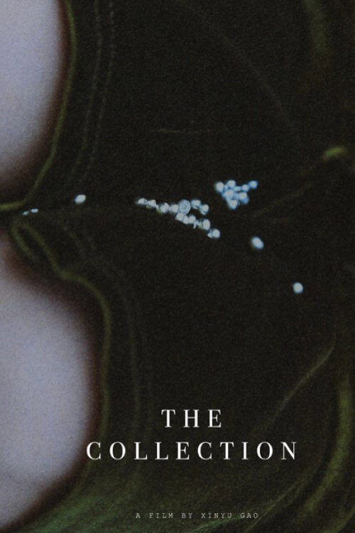 Movie poster for The Collection (2023)