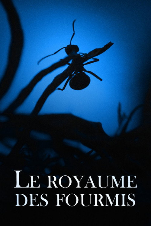 Movie poster for Le Royaume des fourmis (2022)