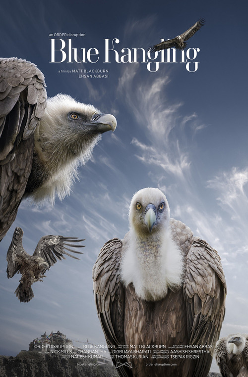 Movie poster for Blue Kangling