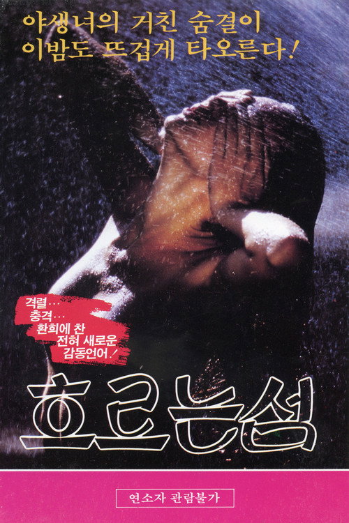 Movie poster for 흐르는 섬 (1989)