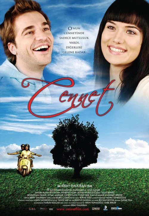 Movie poster for Heaven (2008)