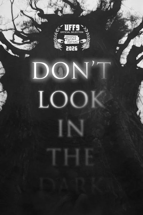Movie poster for Don't Look in the Dark (2025)