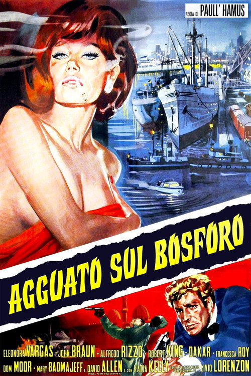 Movie poster for Agguato sul Bosforo (1969)