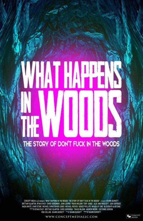 Movie poster for What Happens In The Woods (2019)