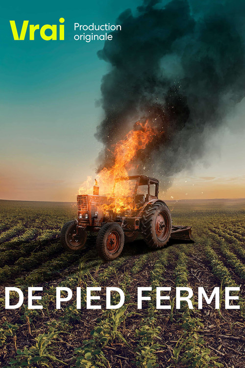 De pied ferme poster