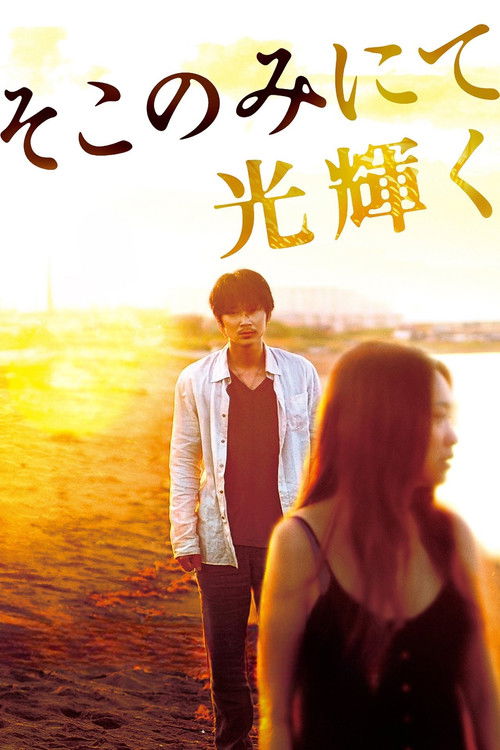 Movie poster for The Light Shines Only There (2014)