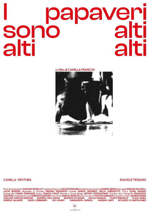 Movie poster for I Papaveri Sono Alti Alti Alti (2024)